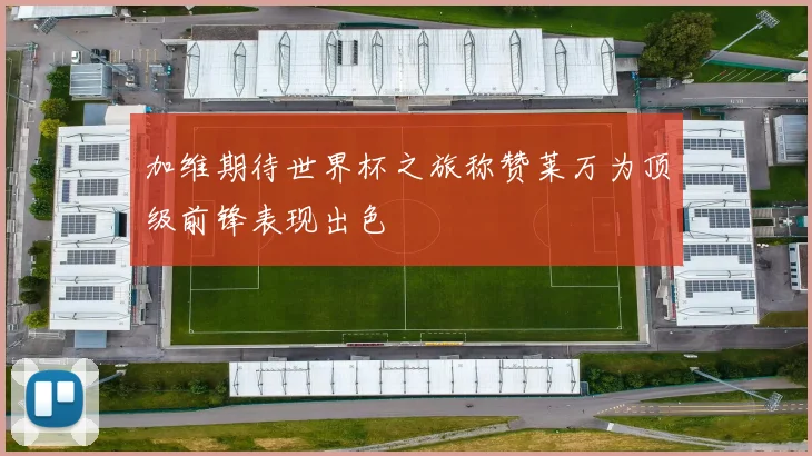 加维期待世界杯之旅称赞莱万为顶级前锋表现出色