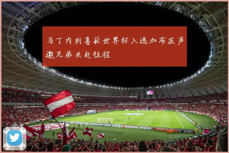 马丁内利喜获世界杯入选加布发声邀兄弟共赴征程