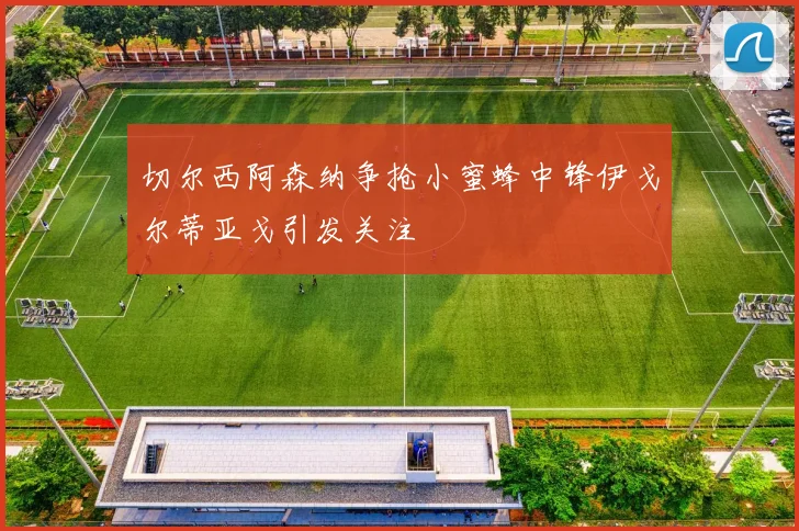 切尔西阿森纳争抢小蜜蜂中锋伊戈尔蒂亚戈引发关注